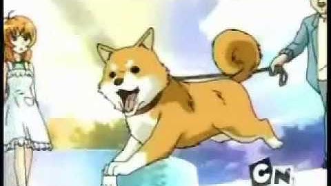 Nobody´s home Alice Gehabich