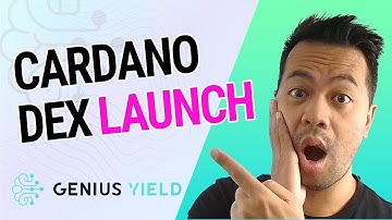 Genius Yield Launch on Cardano Mainnet! Interview w/ Marvin Bertin
