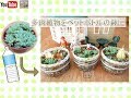 【DIY】多肉植物をペットボトルの鉢に植え替え | シルバニアファミリー | Succulent plant