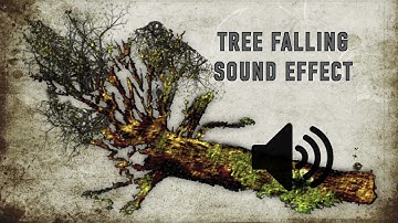 Tree Falling Sound Effect - High Quality