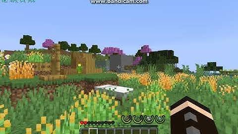 Universal Clock HUD 1.14.4 Forge Mod Overview