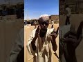 كتمت ههههه والله الزول دا قطع قلوبنا بالضحك كتمت ههههه والله الزول دا قطع قلوبنا بالضحك