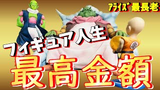ドラゴンボール　アライズ最長老フィギュア　通常カラー ドラゴンボールアライズ 最長老【通販限定特典付き】| ZEEM