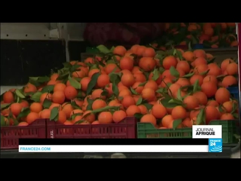 Tunisie : que faire des oranges en surproduction ?