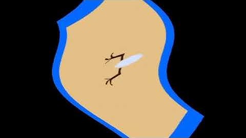 reversed echo videopad...