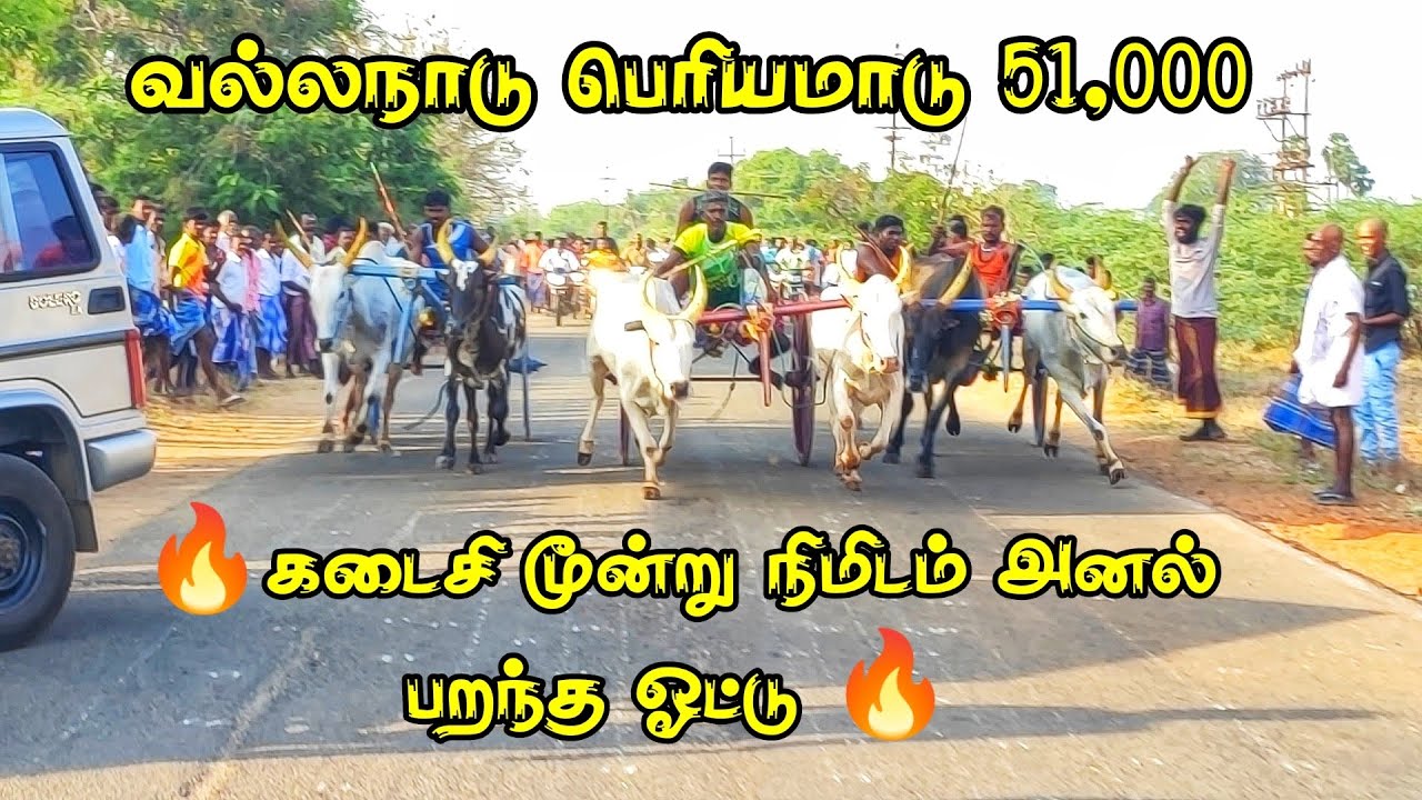 தூத்துக்குடி மாவட்டம் வல்லநாடு பந்தயம்