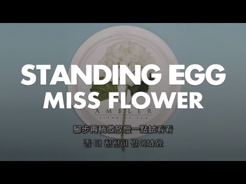 【韓中字】Standing Egg - Miss Flower
