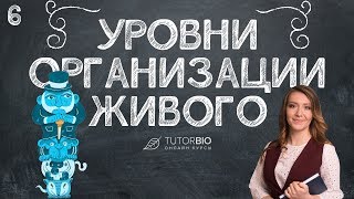 Уровни организации живого. Что на них изучается. Лекция из курса &quot;Биология как наука&quot;