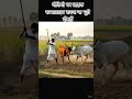 गाय की पूरी दिनचर्या#viral #trending #youtubeshorts #shorts #video #music #motivation #vlog #funny