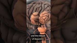 The Science Of Breaking Bad Habit