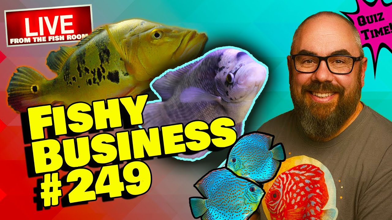 Friday Night Live! -  Fishy Business #249