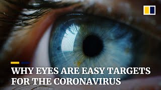 Coronavirus able to replicate efficiently in eyes and could be 100 times more infectious than Sars