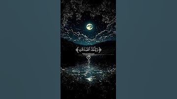 الشيخ ياسر الدوسري سورة التوبة آية 104