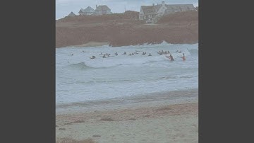 How Things Figure Out