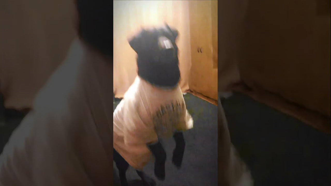 Вспоминаем команды 