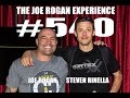 Joe Rogan Experience #540 - Steven Rinella