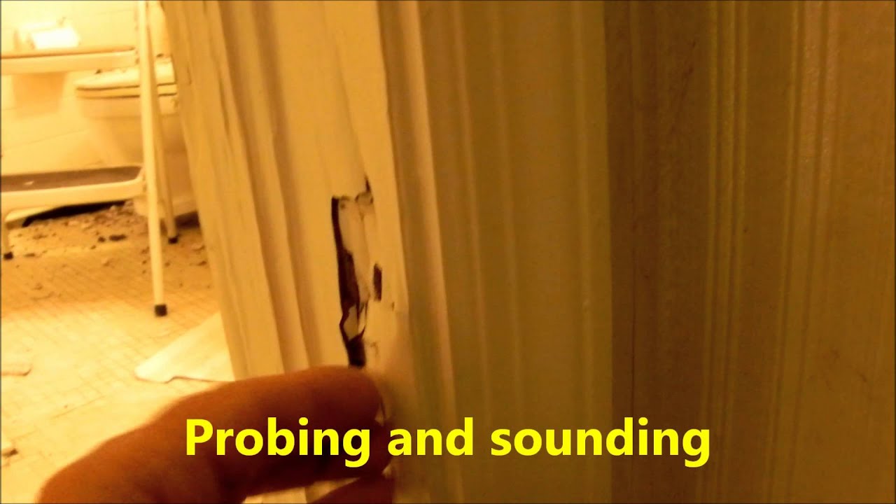 Bugology 04 25 15 Termite Inspections