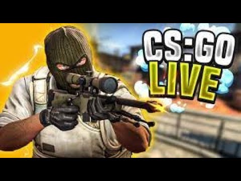 🔴LIVE ON - CS -TREINAMENTO - 🔥 SO BROTA! 🔥❤️