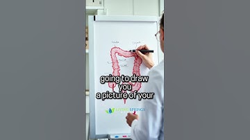 This is Why the Appendix Matters