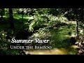 Calming River Sounds Flowing Water | Summer Forest Ambience | White Noise for Relaxation and Sleep