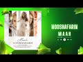 NOOSHAFARIN MAAH OFFICIAL AUDIO VISUALIZER 