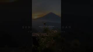 Tresno Liyane X Macak Kelaran  Lirik