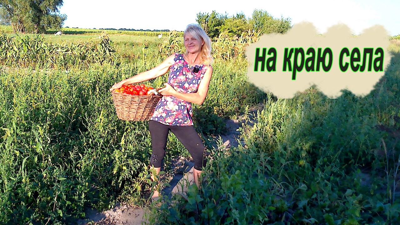 🏡 Живу одна на краю села | Всё делаю сама, ни о чём не жалею, ни кого не прошу о помощи