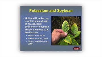 Maximizing Soybean Yield: Soil Testing to Determine Fertility Needs