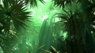 Welcome to the Jungle - DJ Hackman