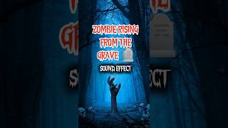 Zombie Rising From The Grave - Sound Effect