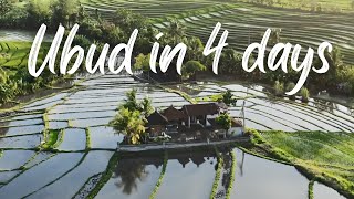 How to Spend 4 Days In UBUD Bali Indonesia - 20 Things to Do in UBUD Bali -  UBUD Bali Travel Guide