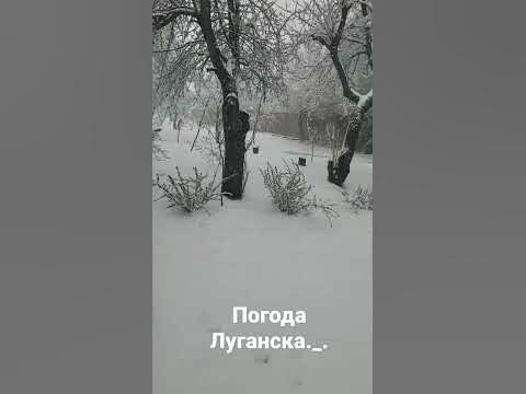 Погода в Луганске - YouTube