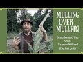 Mulling over mullein  benefits and uses with yarrow willard herbal jedi