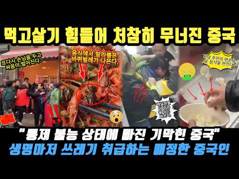 중국반응ㅣ빈 박스 하나에 주먹다짐하고 맨손으로 만두 포장하는 배달원… 경제가 붕괴된 '노답' 중국의 소름돋는 찐 현실 💥