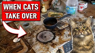 When the Cats Take Over | Animal Hoard Removal