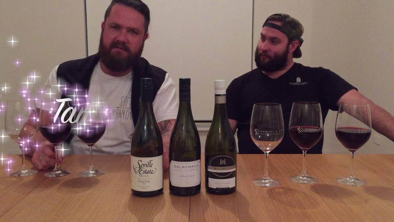 Wine About It with Mike S01E05 Pinot Noir YouTube