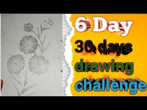 drawing class- 6day || improve your drawing in 30 day || basic drawing ...