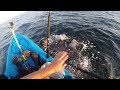 Shark Kayak Fishing Sleigh Ride. Montauk NY.