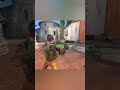 How does a gun silencer work? #cs2 #csgo #counterstrike #gaming #cs2clips #cs2clips #csgomoments