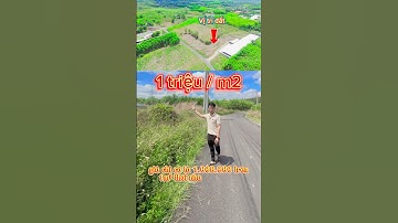 Phần 5 | Bán 4sào5 bàu cạn đường nhựa, điện 3 pha gần sân bay long thành #batdongsan #bds