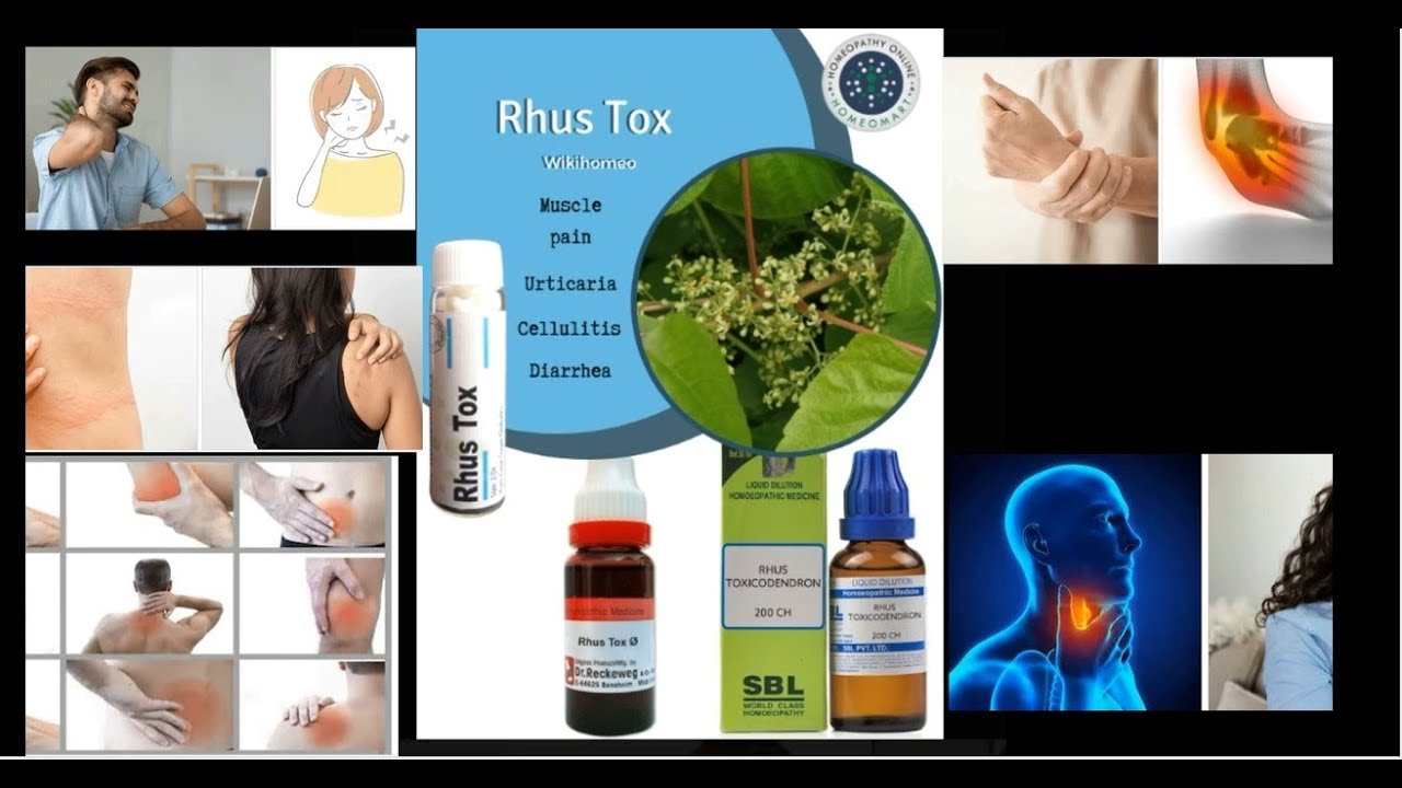 Rhus Tox Homeopathy medicine list with uses dosage side effects - YouTube