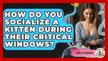 How Do You Socialize A Kitten During Their Critical Windows? - Happy Cat Handbook