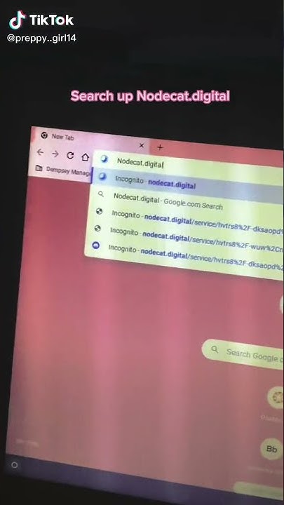 How To Watch Netflix On School Computer how to watch Netflix on school computer!!! - YouTube