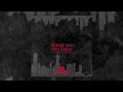 lil-durk-x-tee-grizzley-"what-yo-city-like?"-(official-audio)
