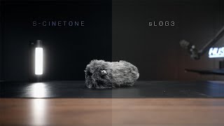 The SONY A7s3 Test: I Was SHOCKED by the SCINETONE vs sLOG3 Results