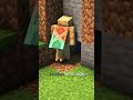 Minecraft Hidden Storage Trick No One Knows