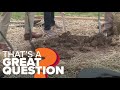 Do I need to call 811 before planting a tree? | That&#39;s A Great Question