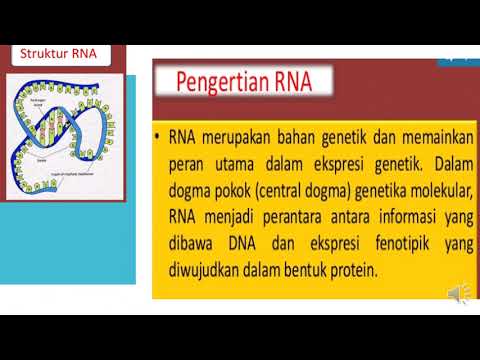 Video: Beredar Sel Tumor Dan DNA Sebagai Biopsi Cair