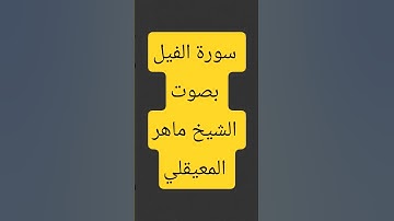 سورةة الفيل #القرآن_الكريم #اكسبلور #القزابري #تيك_توك #المصحف #سورة #duet #الرحمن #الطحان #لايك