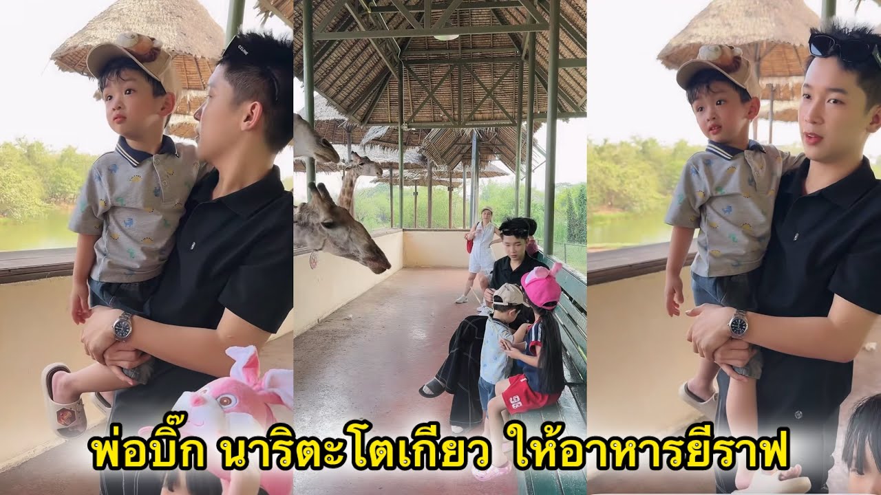 พ่อบิ๊ก น้องนาริตะโตเกียวให้อาหารยีราฟ อบอุ่นมาก